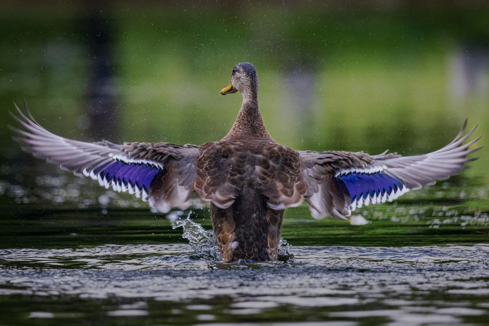 Photograph by Антон Дроздов