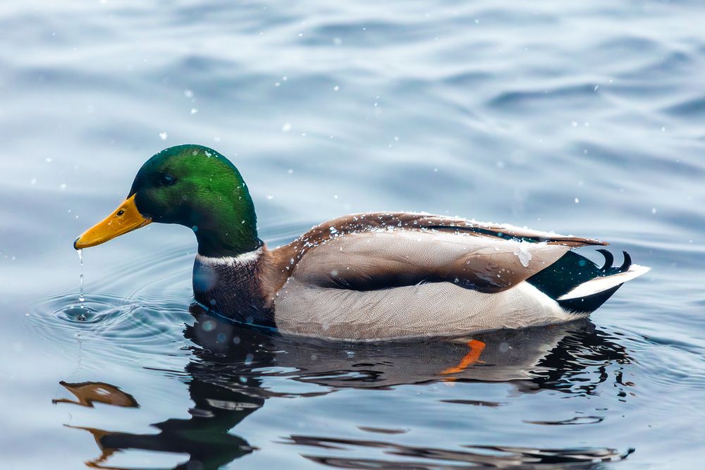 Photograph by Siarhei Saladukhin