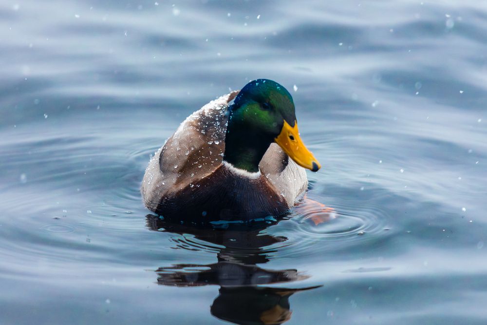 Photograph by Siarhei Saladukhin