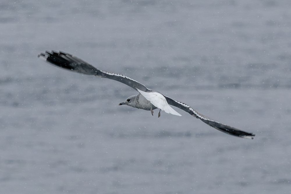 Photograph by Siarhei Saladukhin