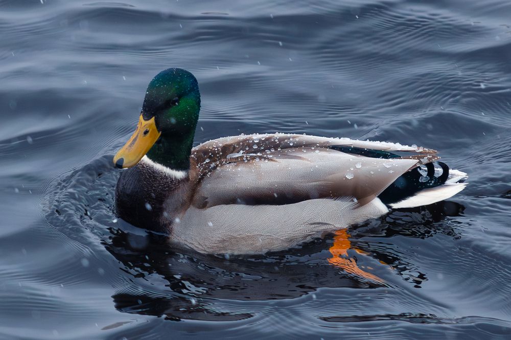 Photograph by Siarhei Saladukhin