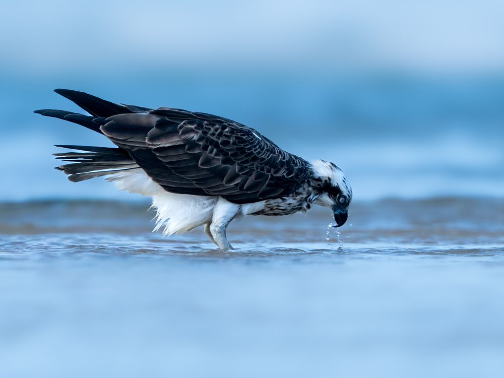 Photograph by Herald Jaison