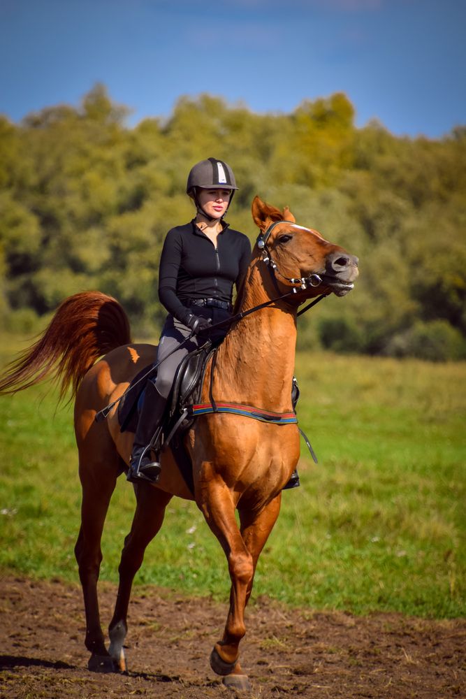Photo #13082466