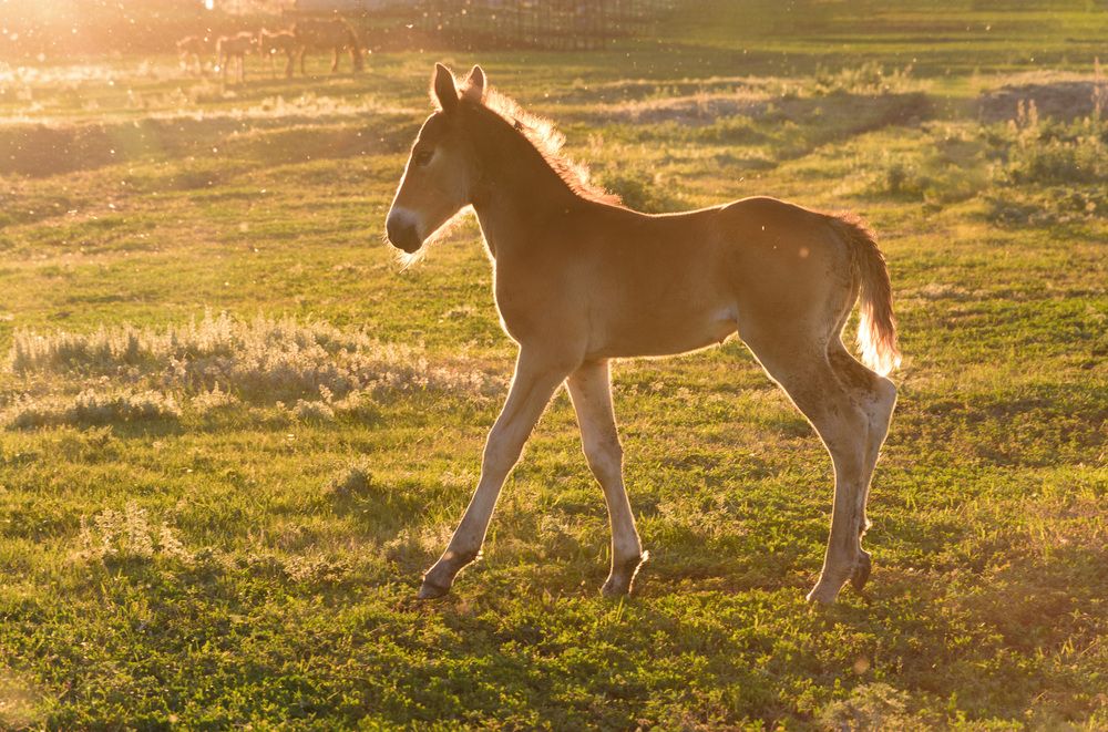 Photograph by Наталия Брянцева