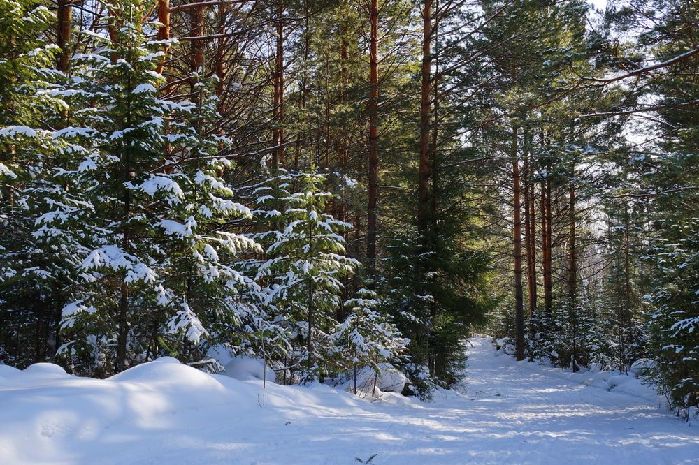 Photograph by Галина Кан