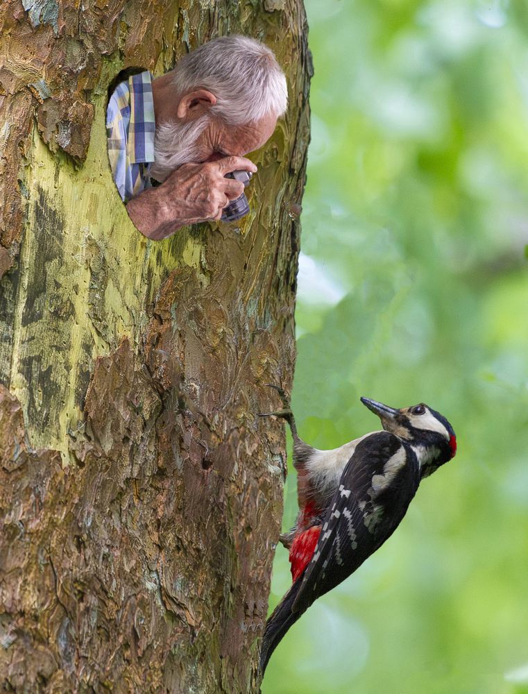 Фотография автора Юрий Баженов