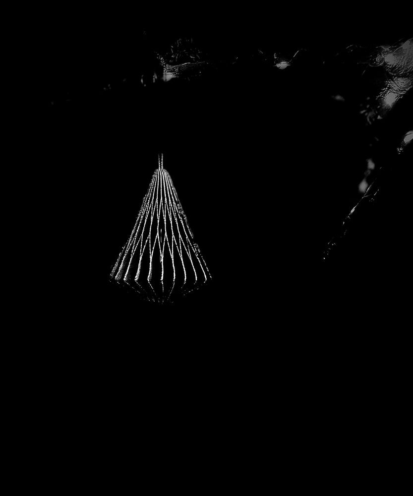 Photograph by Юлия Гермони