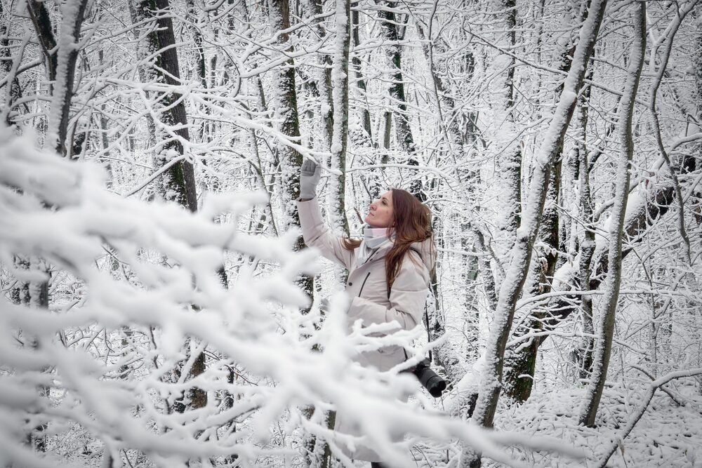 Фотография автора Сергей Прокофьев
