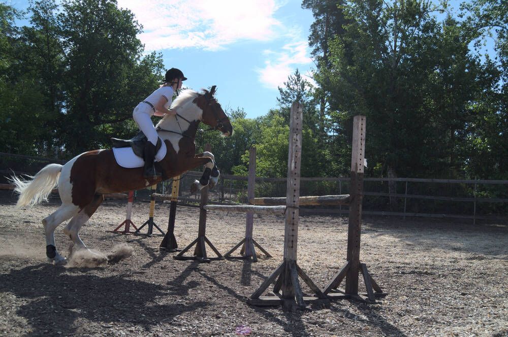 Photo #13082655