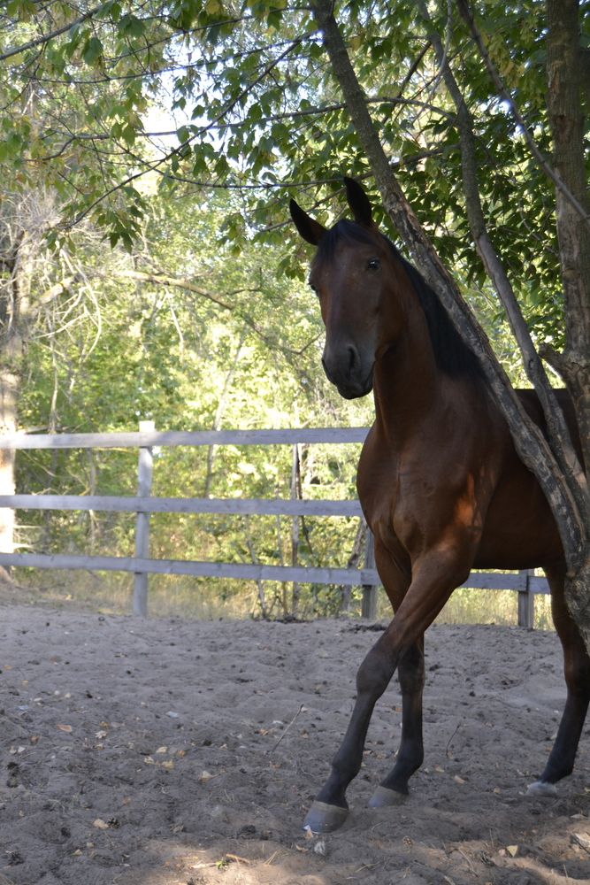 Photo #13082659