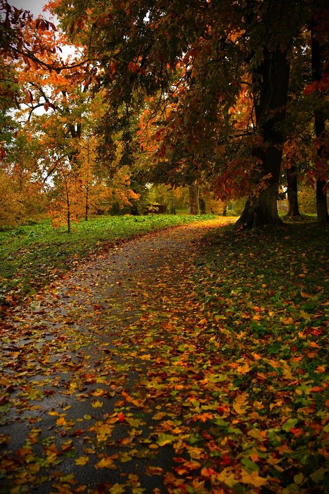 Фотография автора Наталья Осипчук