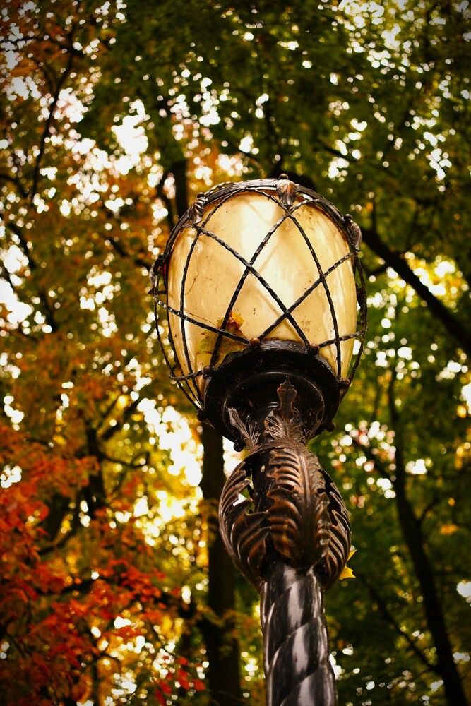 Фотография автора Наталья Осипчук