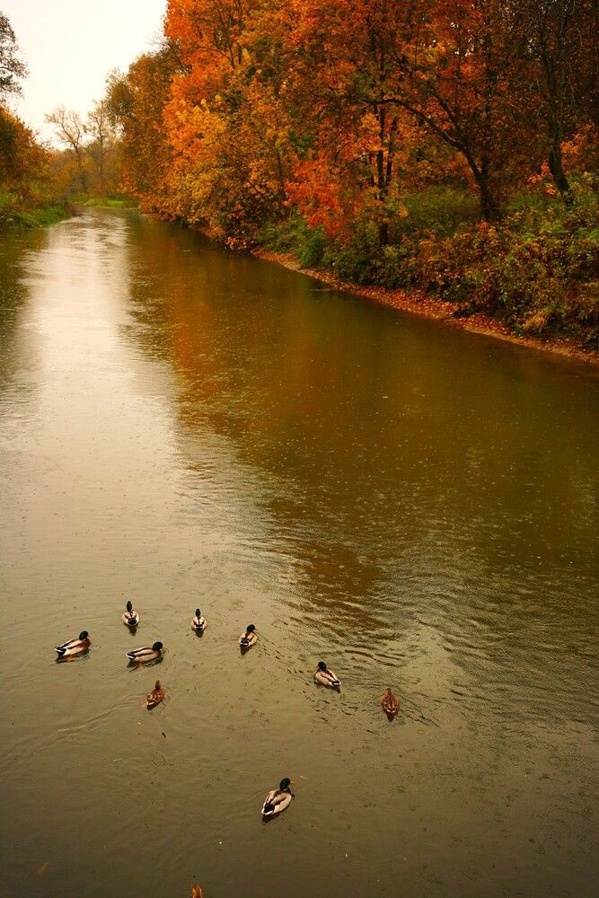 Фотография автора Наталья Осипчук