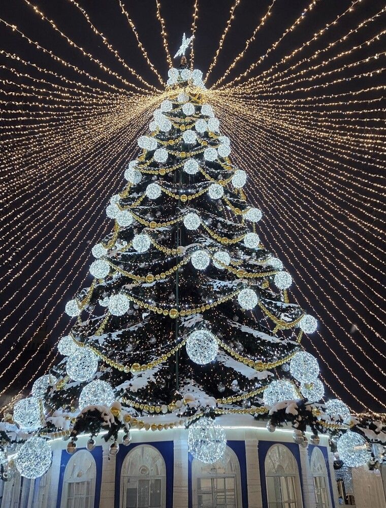 Photograph by Дарья Булавина