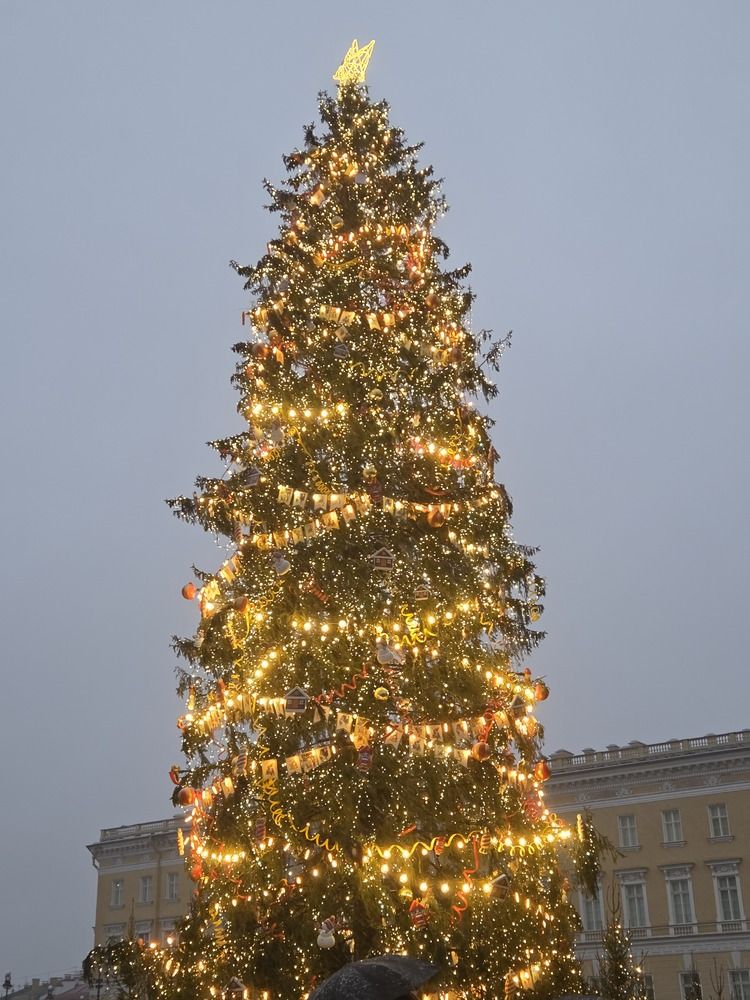 Photograph by Дарья Булавина