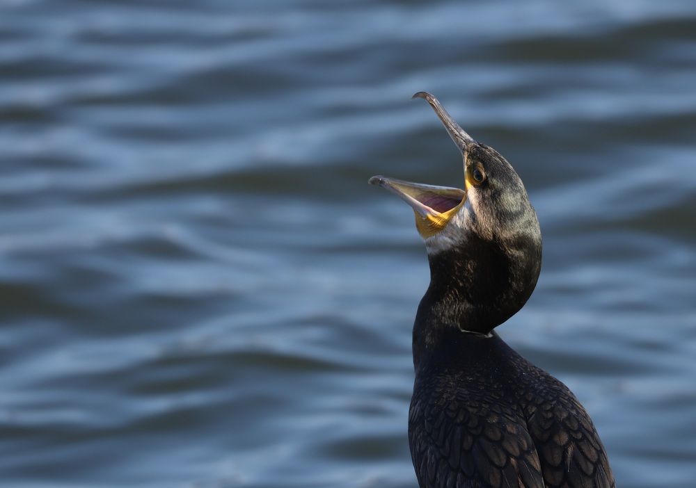 Photograph by Se Lena