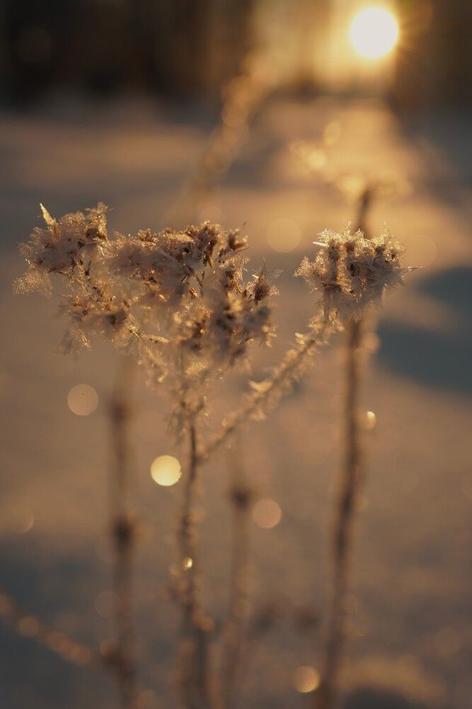 Фотография автора Наталья Осипчук