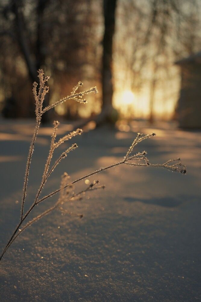 Фотография автора Наталья Осипчук
