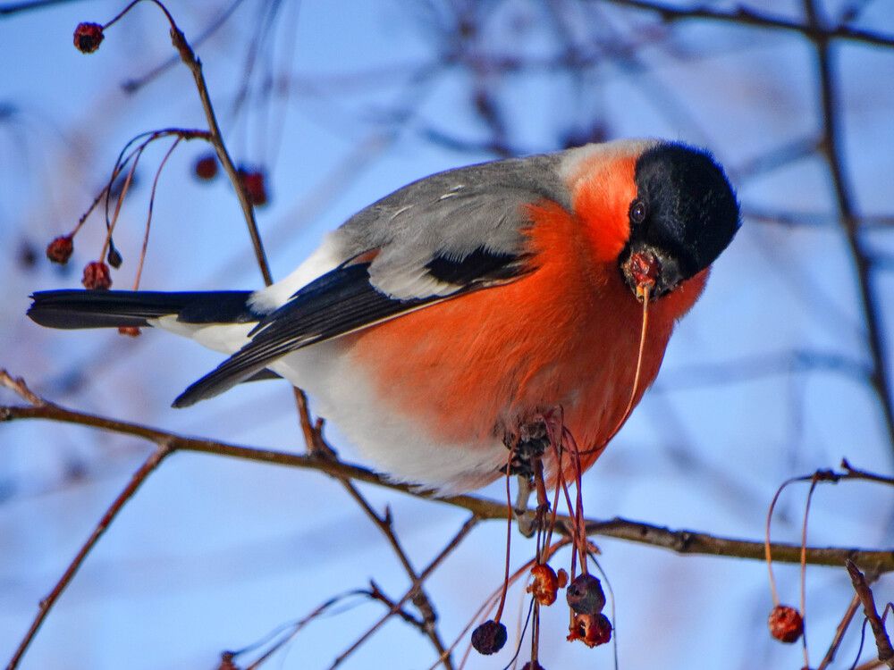 Photograph by Анжелика Трошина