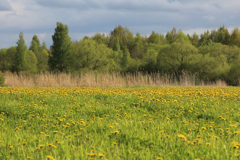 Photograph by Марианна Браун