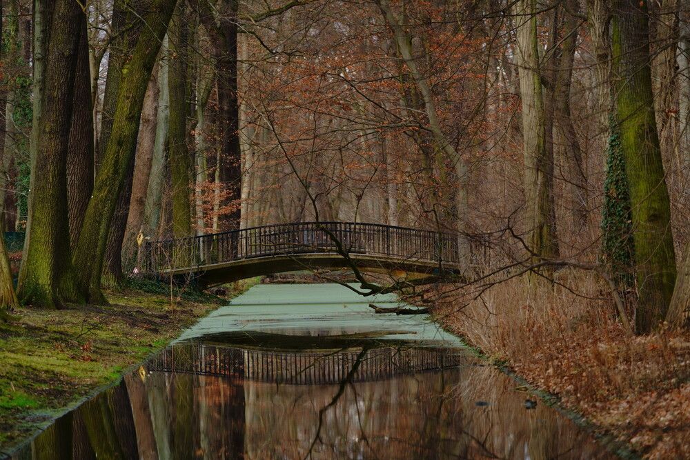 Photograph by Sergej Roor