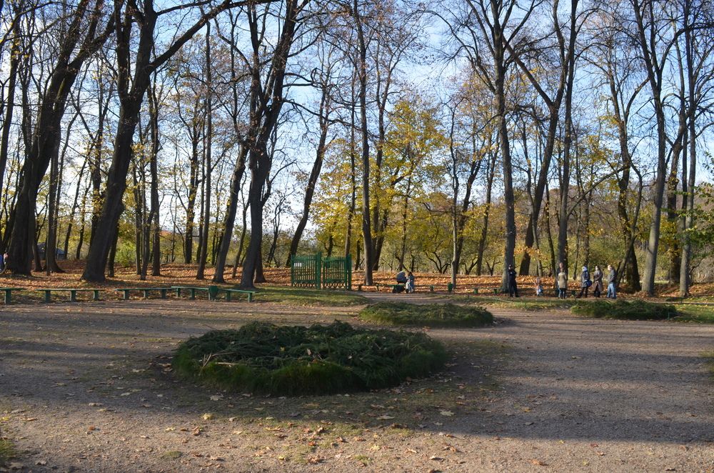 Photograph by Татьяна Жиркина