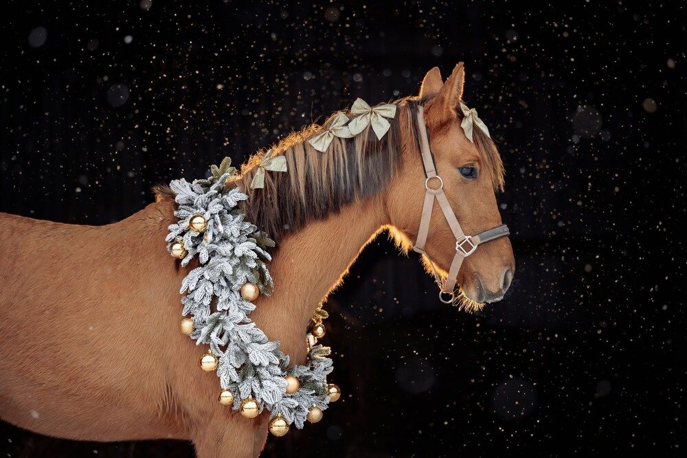 Фотография автора Онучина Юлия