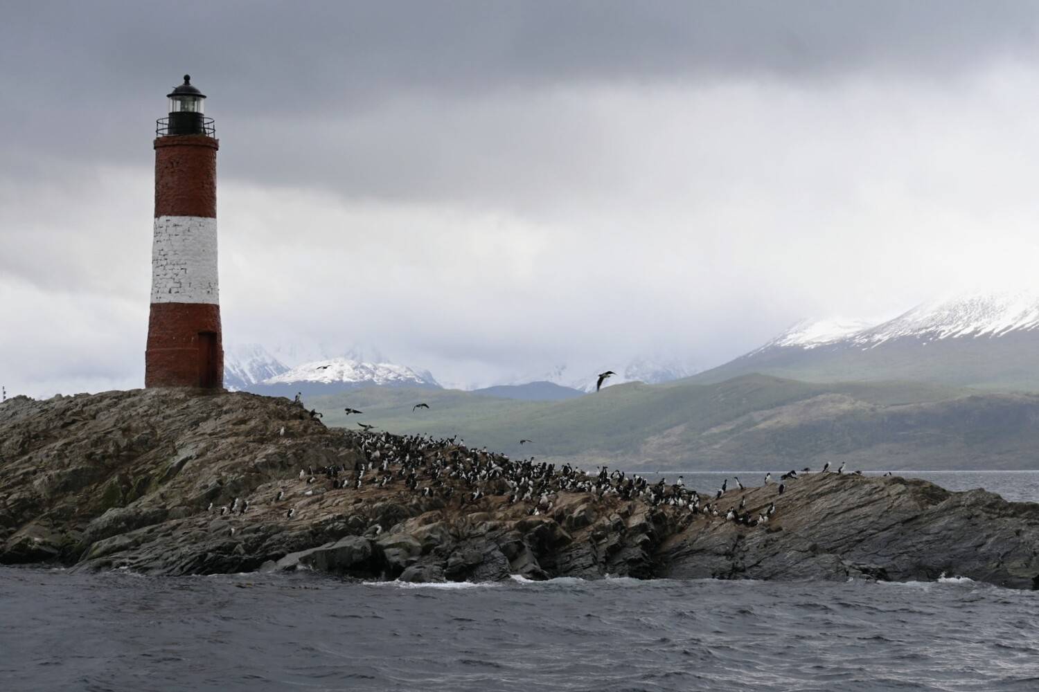 Photo #13082758