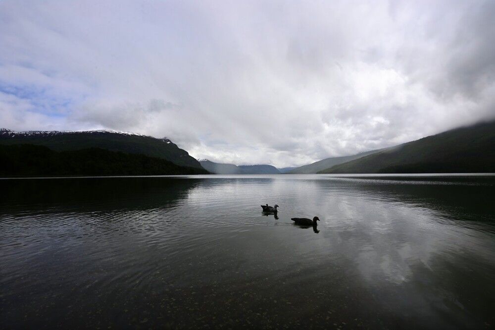 Photograph by Дарья Булавина