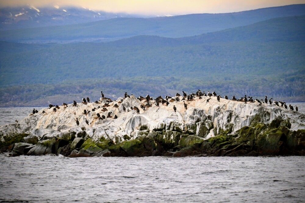 Photograph by Дарья Булавина