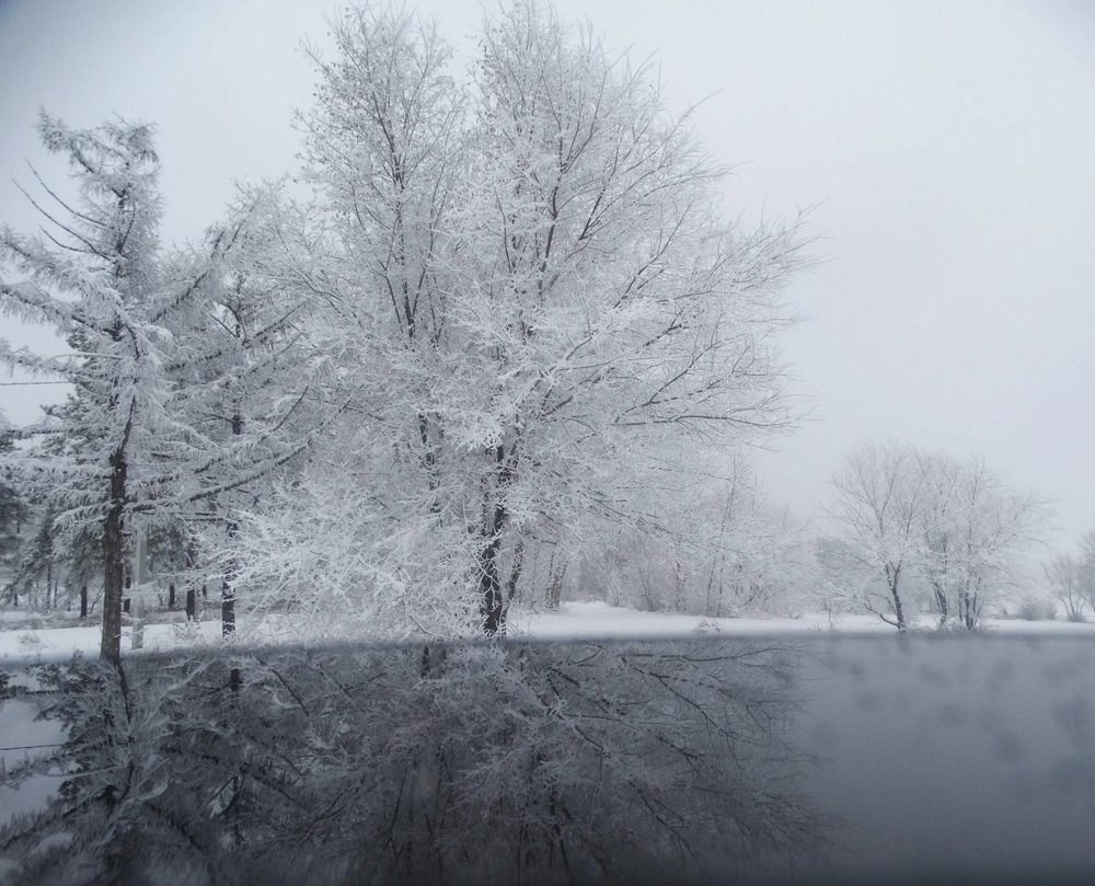 Фотография автора Анжелика Трошина