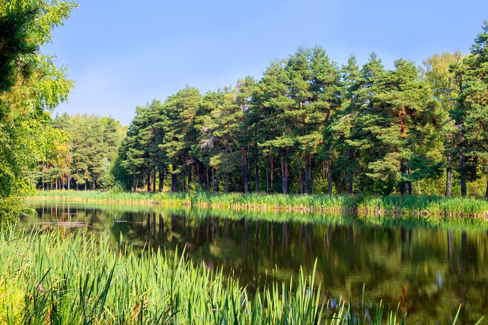 Photograph by Дана Трубиньш