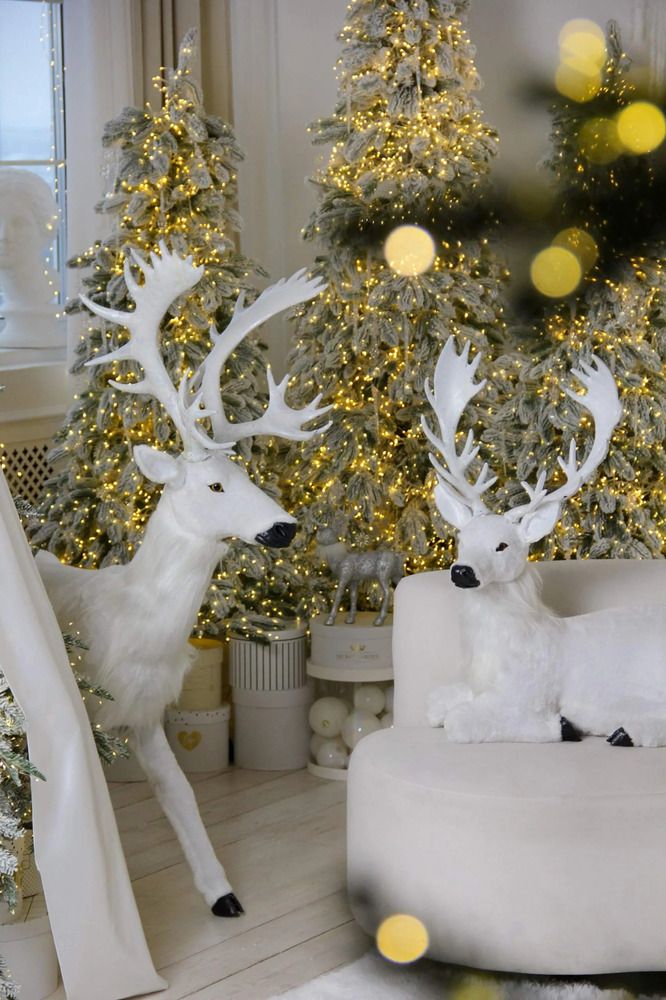 Фотография автора Анжелика Трошина