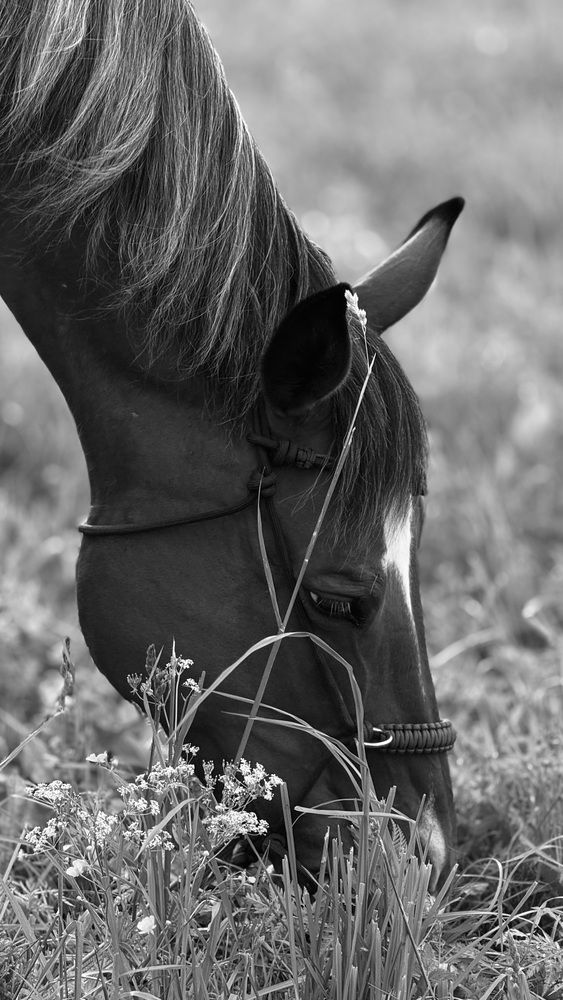 Photograph by Наталья Иванова