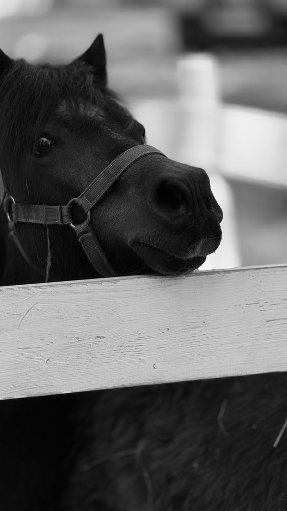 Photograph by Наталья Иванова