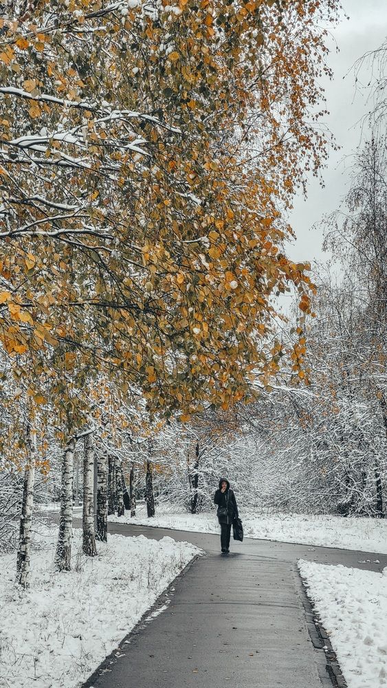 Photograph by Дарья