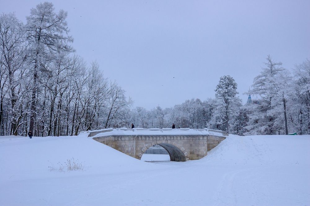 Photograph by Serge Halapin