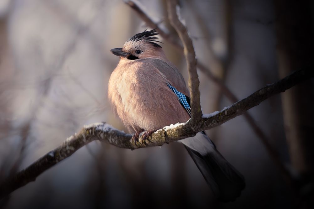 Photograph by Кудлай Яна