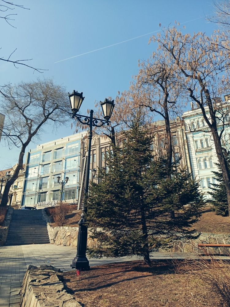 Адмиральский сквер. Владивосток 2025.