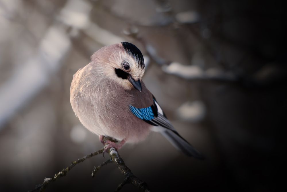 Photograph by Кудлай Яна