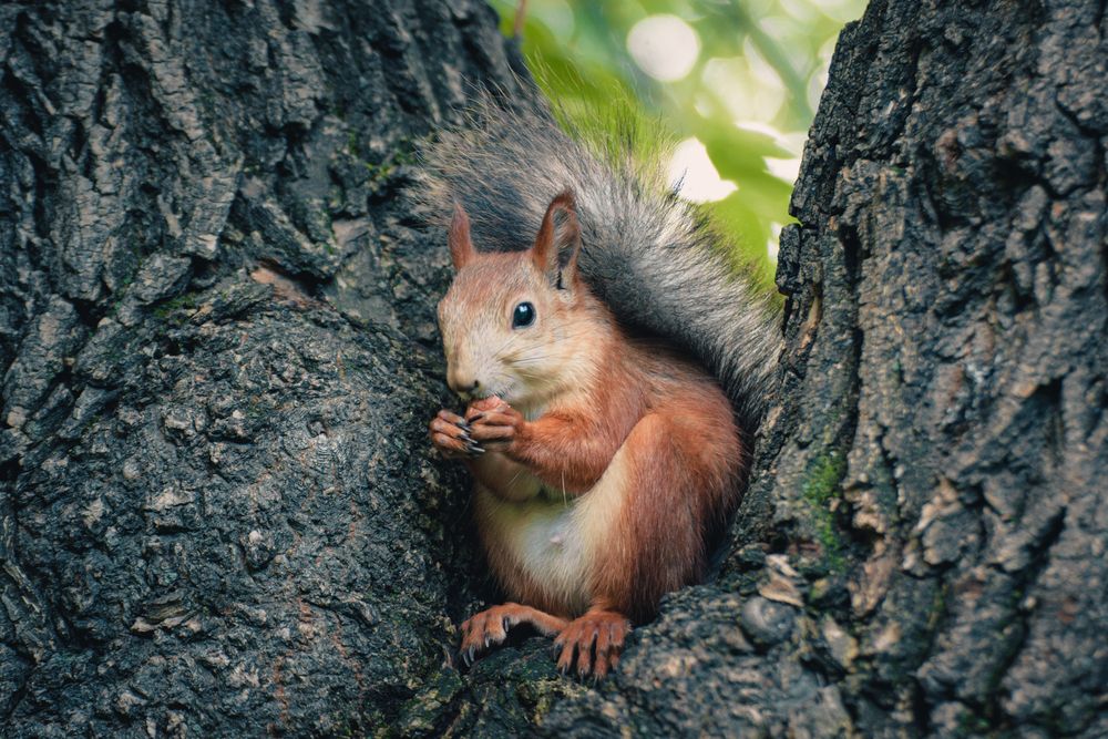 Photograph by Юрий Жданов