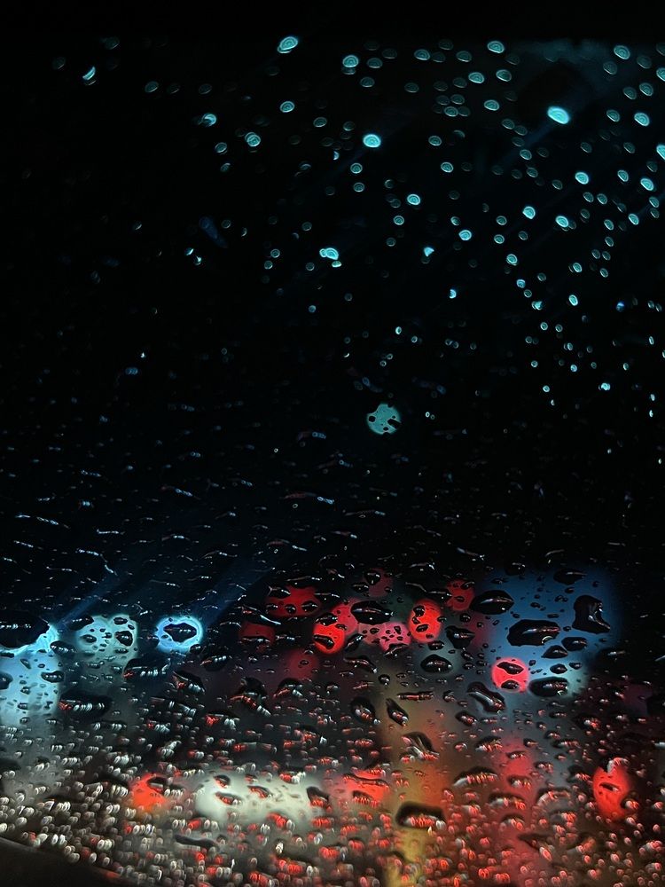 Фотография автора Елизавета Станкевич