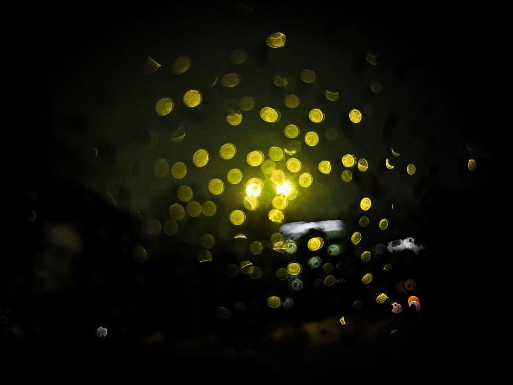 Фотография автора Елизавета Станкевич