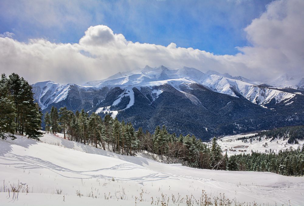 Фотография автора Inna Ivanova