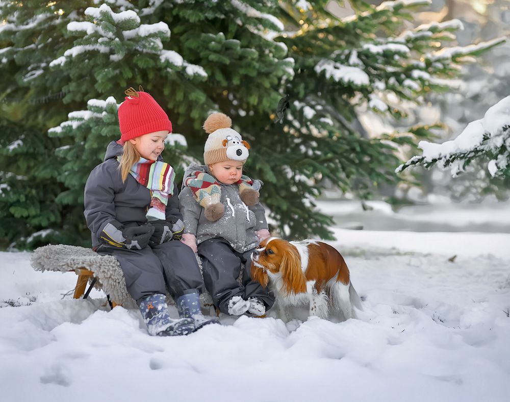 Photograph by Mila Laine