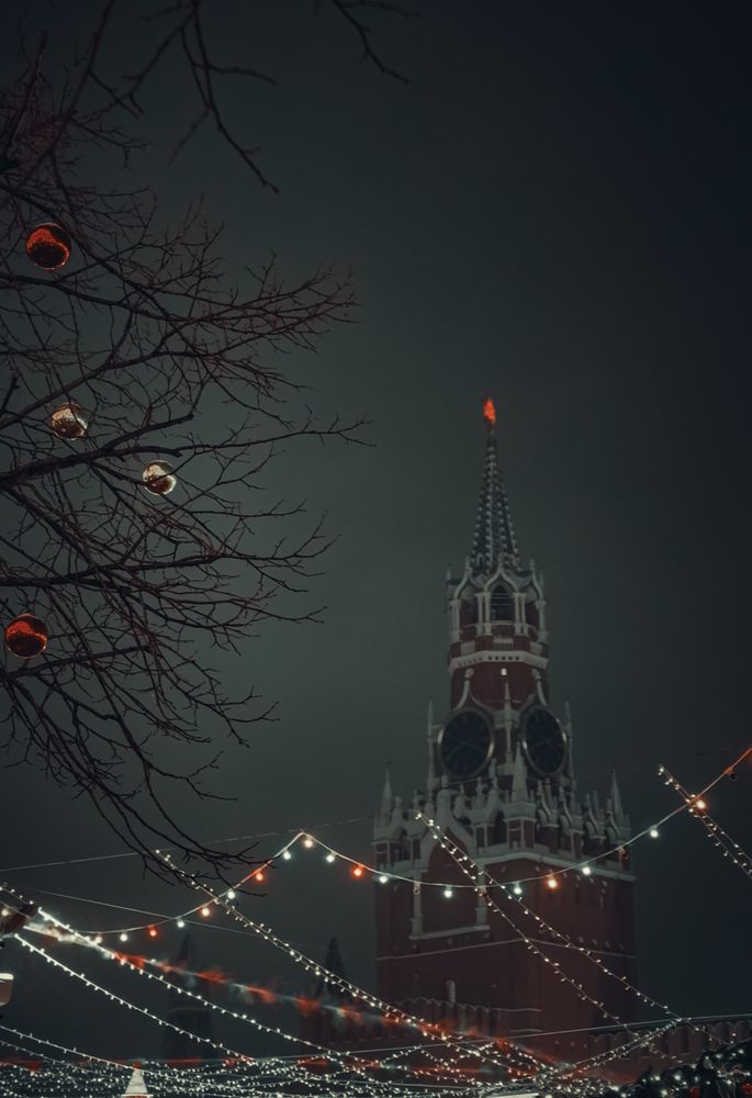 Фотография автора Юлия Порфирьева