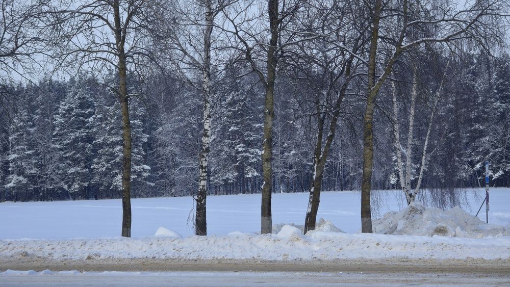 Photograph by Соня
