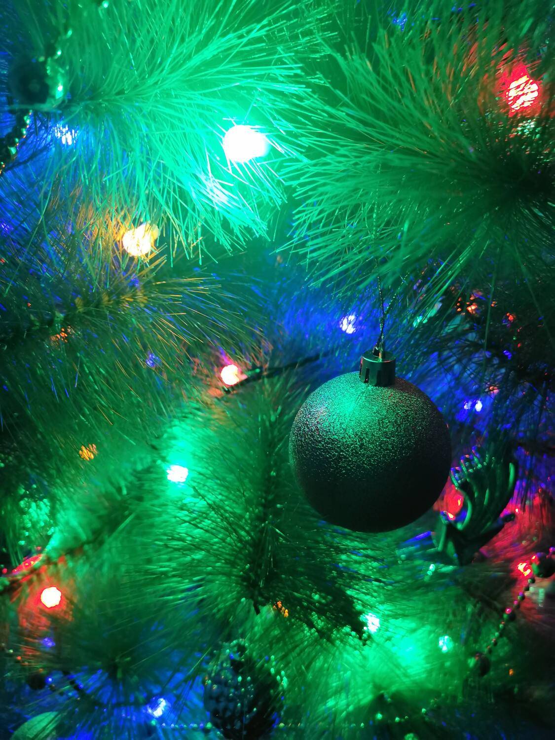 Photo #13083096