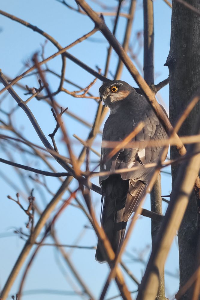 Photograph by Татьяна Бравая
