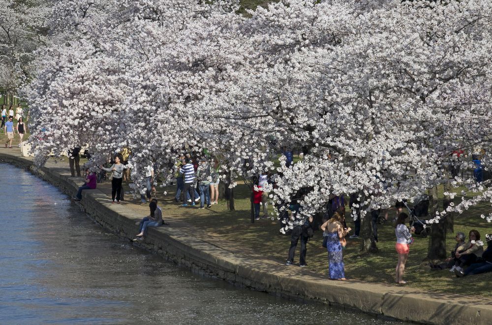 Photograph by Мила Миронова